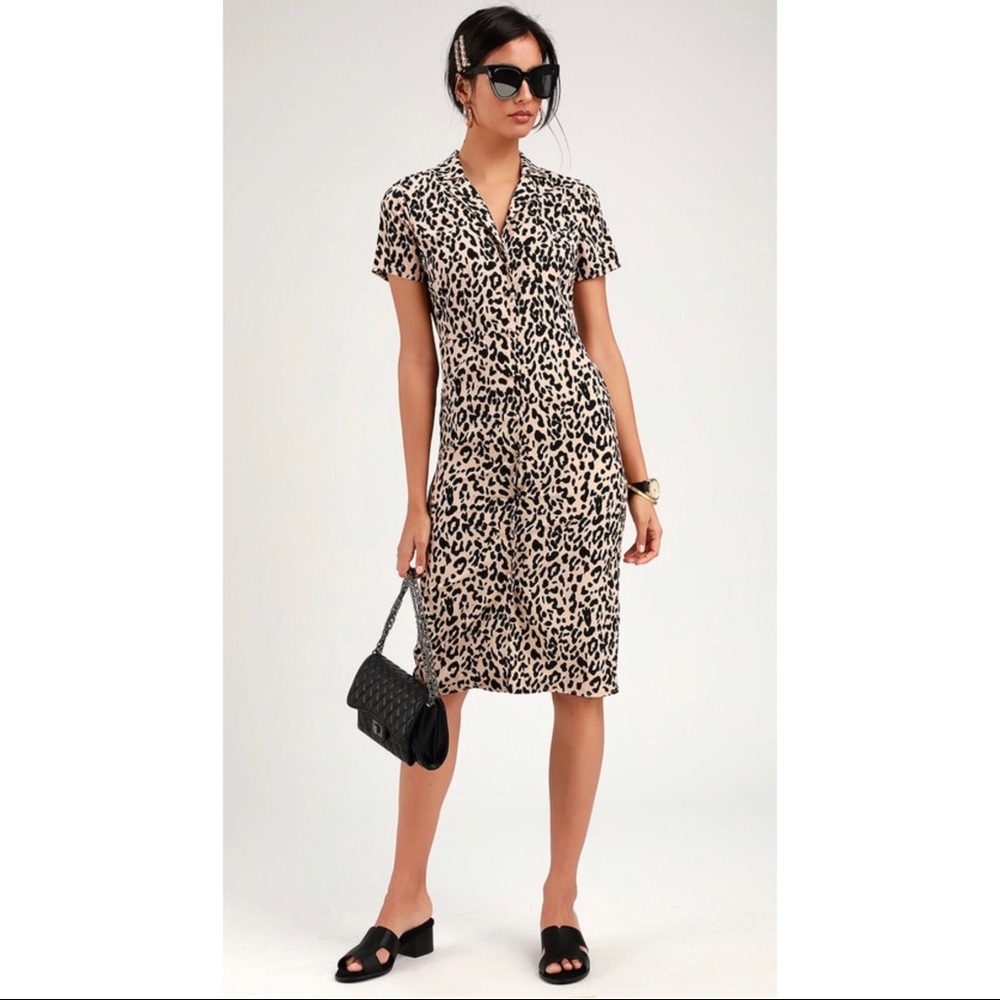 Leopard midi shirt dress (new with tags)